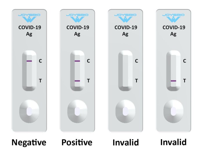 Contoh Surat Rapid Test Antigen: Panduan Lengkap dengan Format dan Prosedur