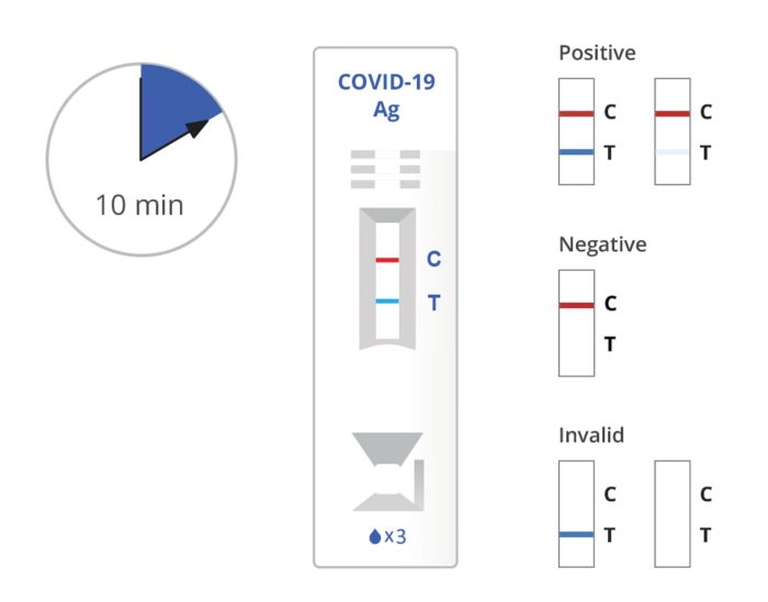 Contoh Surat Rapid Test Antigen: Panduan Lengkap dengan Format dan Prosedur